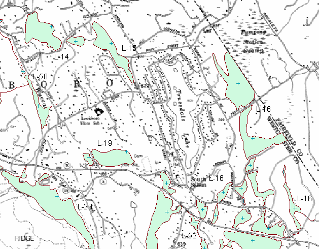 NYS DEC Wetlands Map