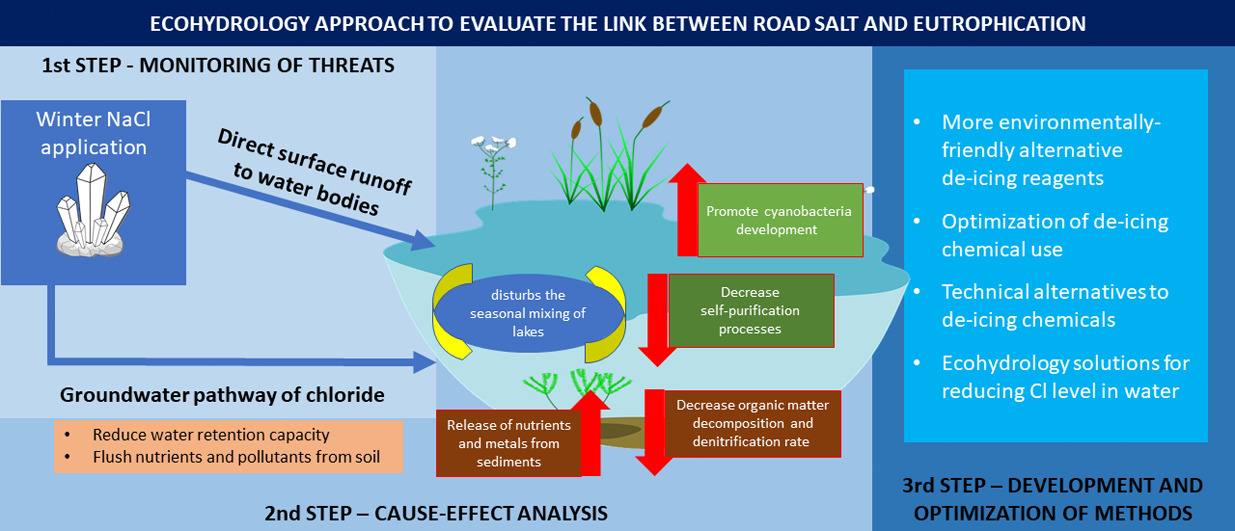 2025 UPDATE: Road Salt and Lake Health